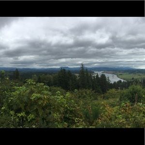 Meet your Posher, Ari